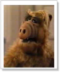 ALF