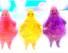 Boohbah - Hello