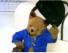 Paddington Bear - Polite Bear