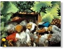 The Wombles - Get Ready To Collect Litter