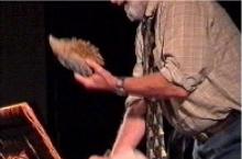 The Pogles at the National Film Theatre - Peter Firmin wakes the Hedgepig